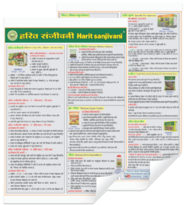 1 Page Broucher (Set of 10)