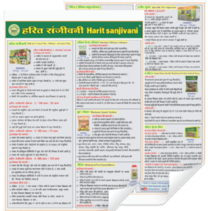 1 Page Broucher (Set of 10)