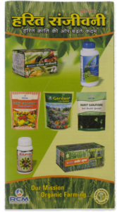 Brochure (4 Colour) (Set of 5)