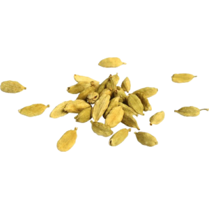 इलायची (Cardamom)