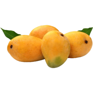 आम (Mango)