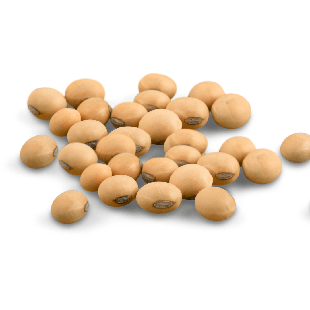 सोयाबीन (Soybean)