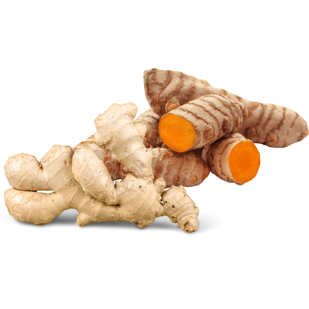हल्दी & अदरक (Turmeric & Ginger)